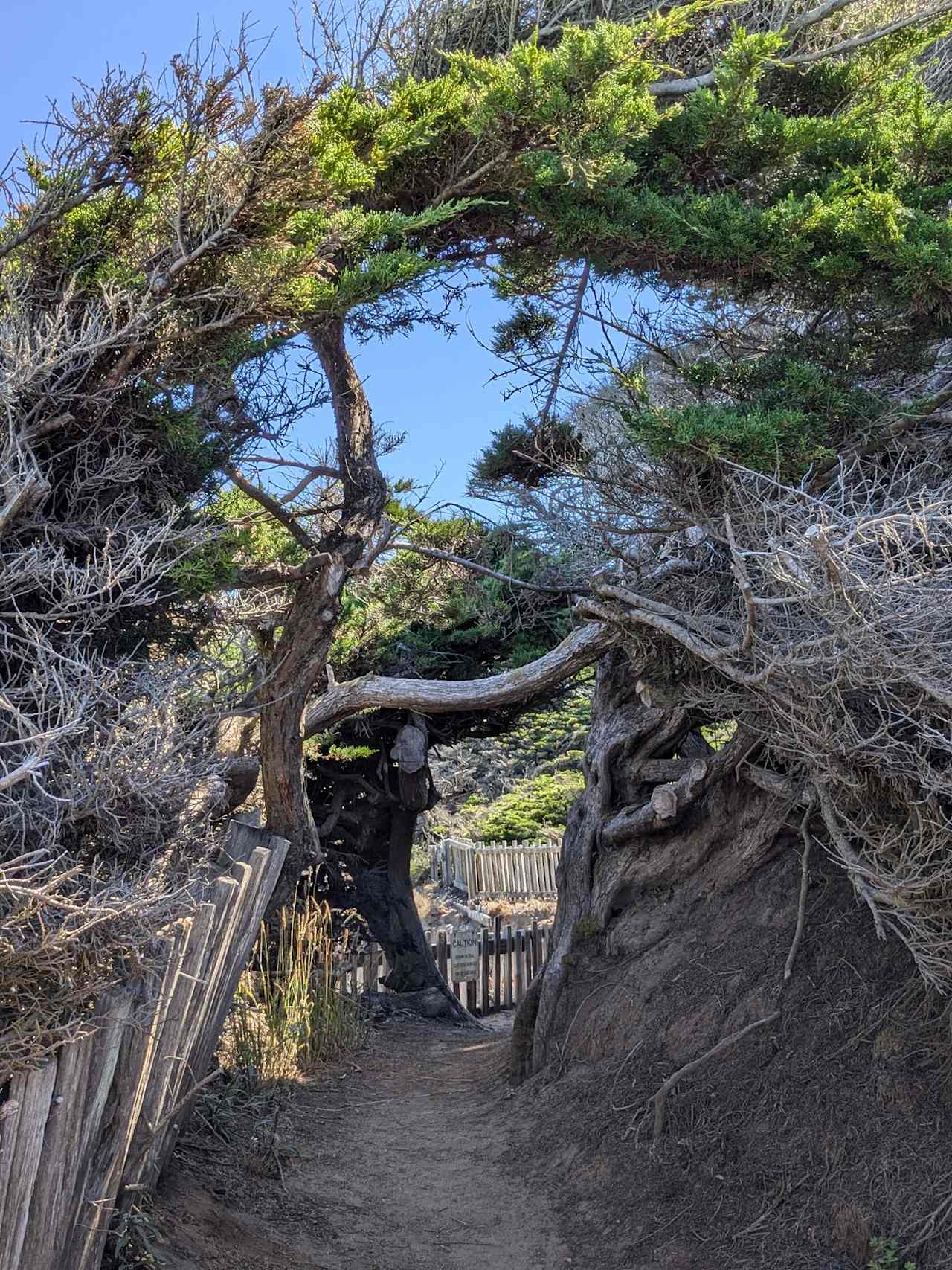 Gualala Point Regional Park