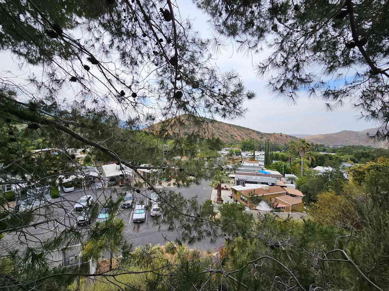 Glen Eden Nudist Resort