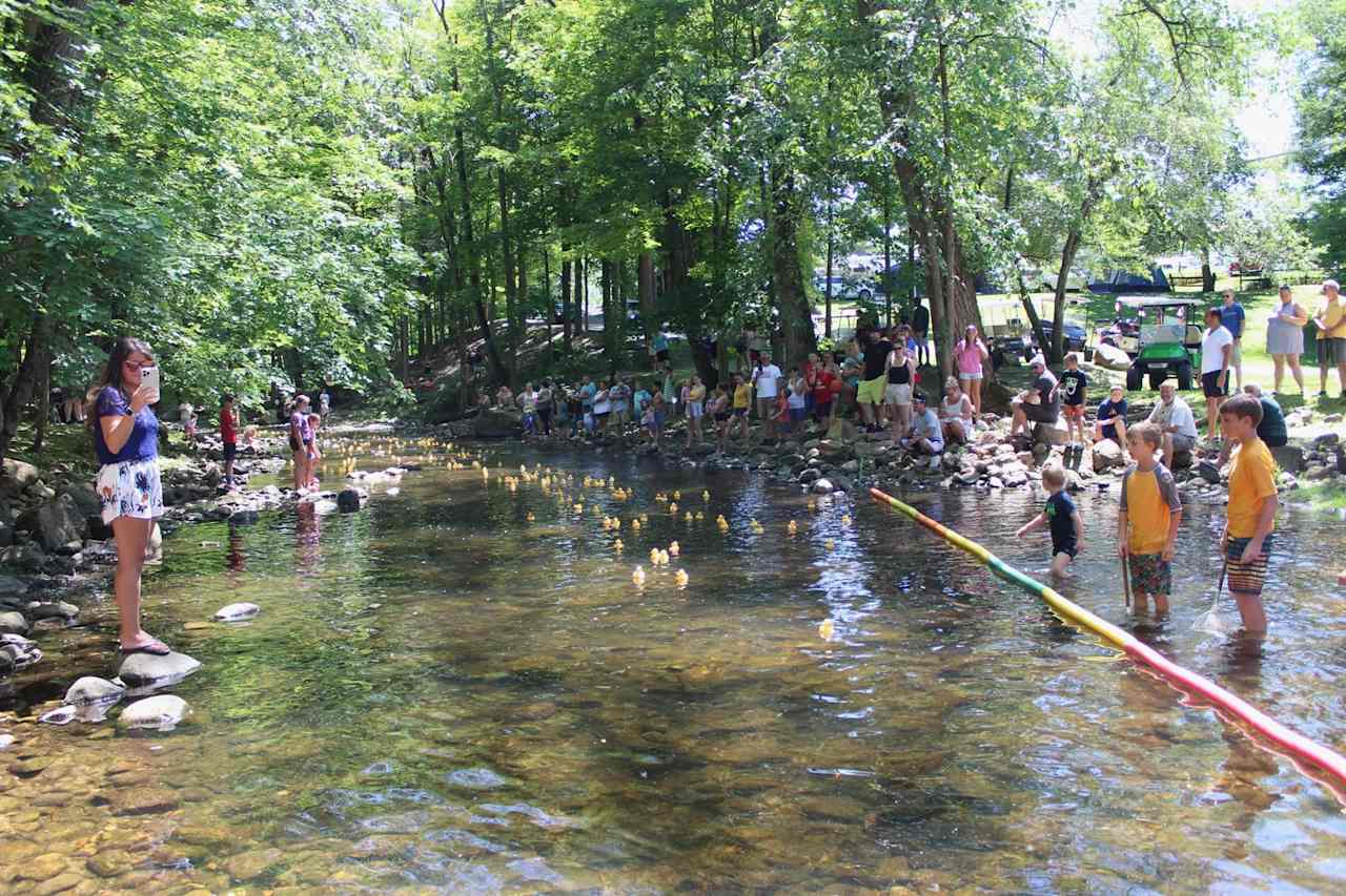 Lone Oak Campsites