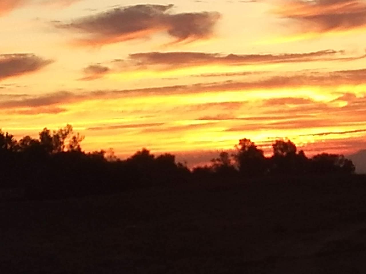McCall Equestrian Park