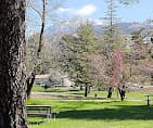 McCall Equestrian Park