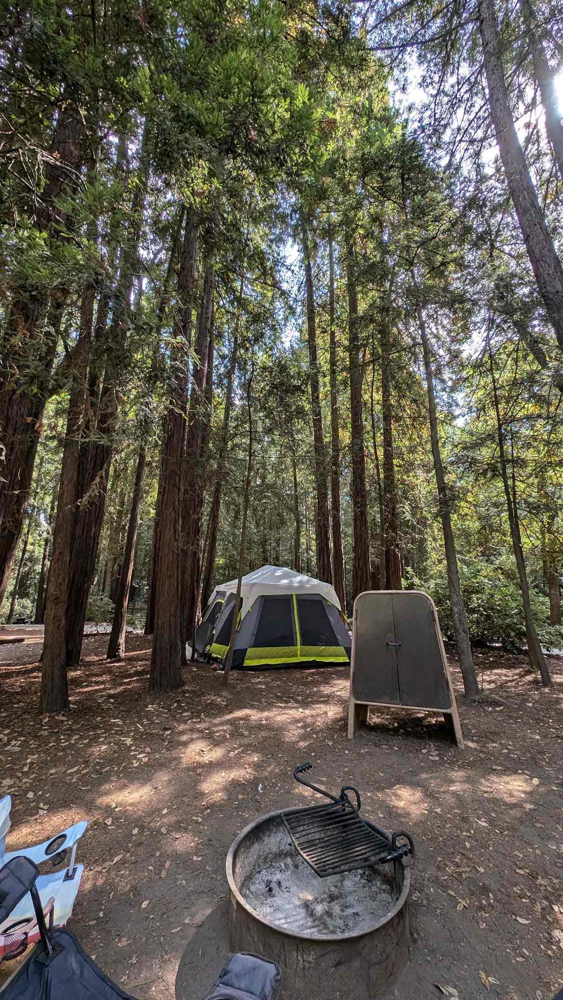 Mt Madonna County Park
