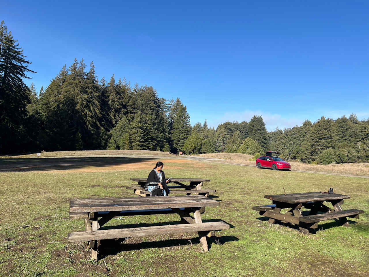Mt Madonna County Park