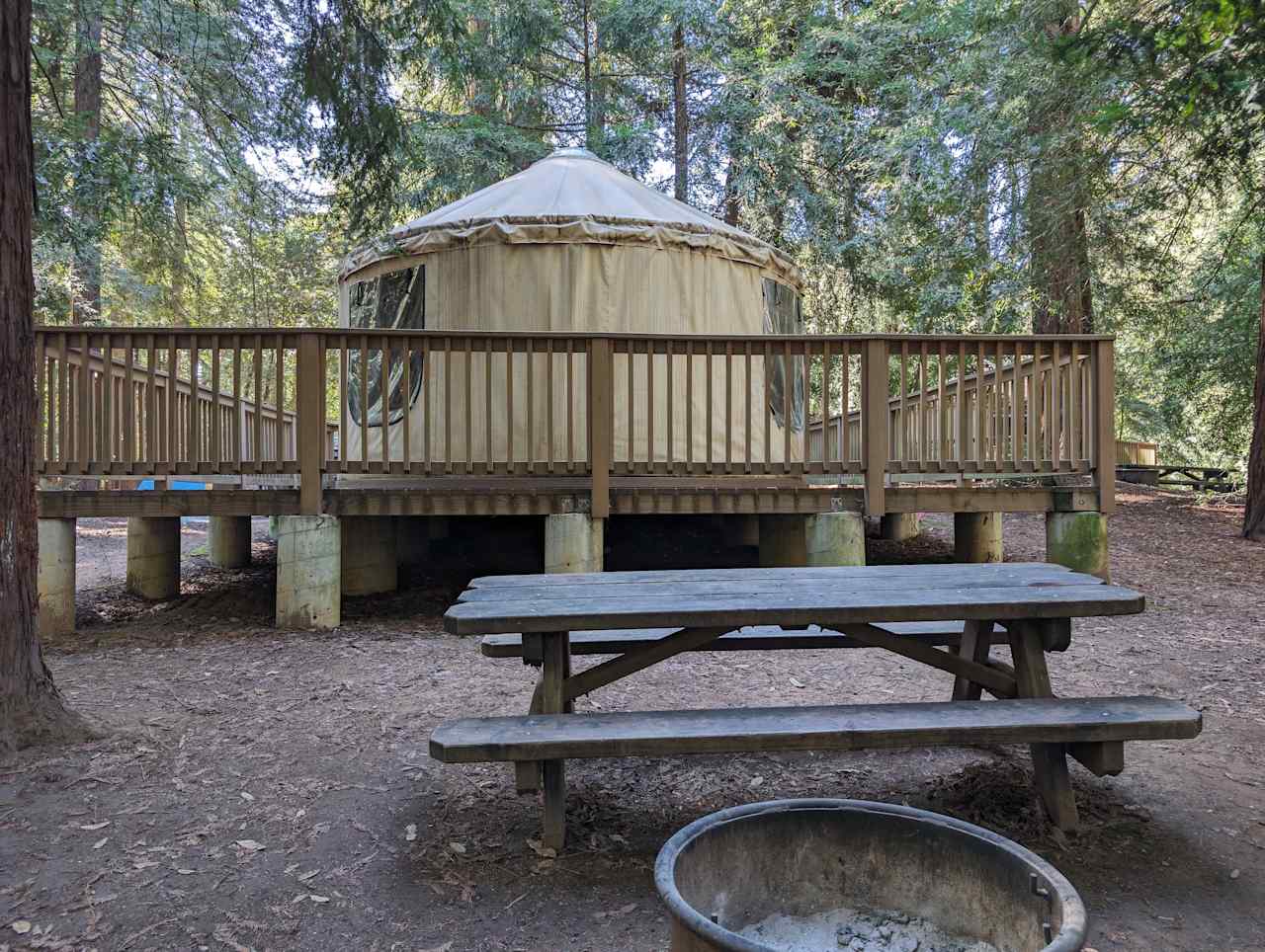 Mt Madonna County Park