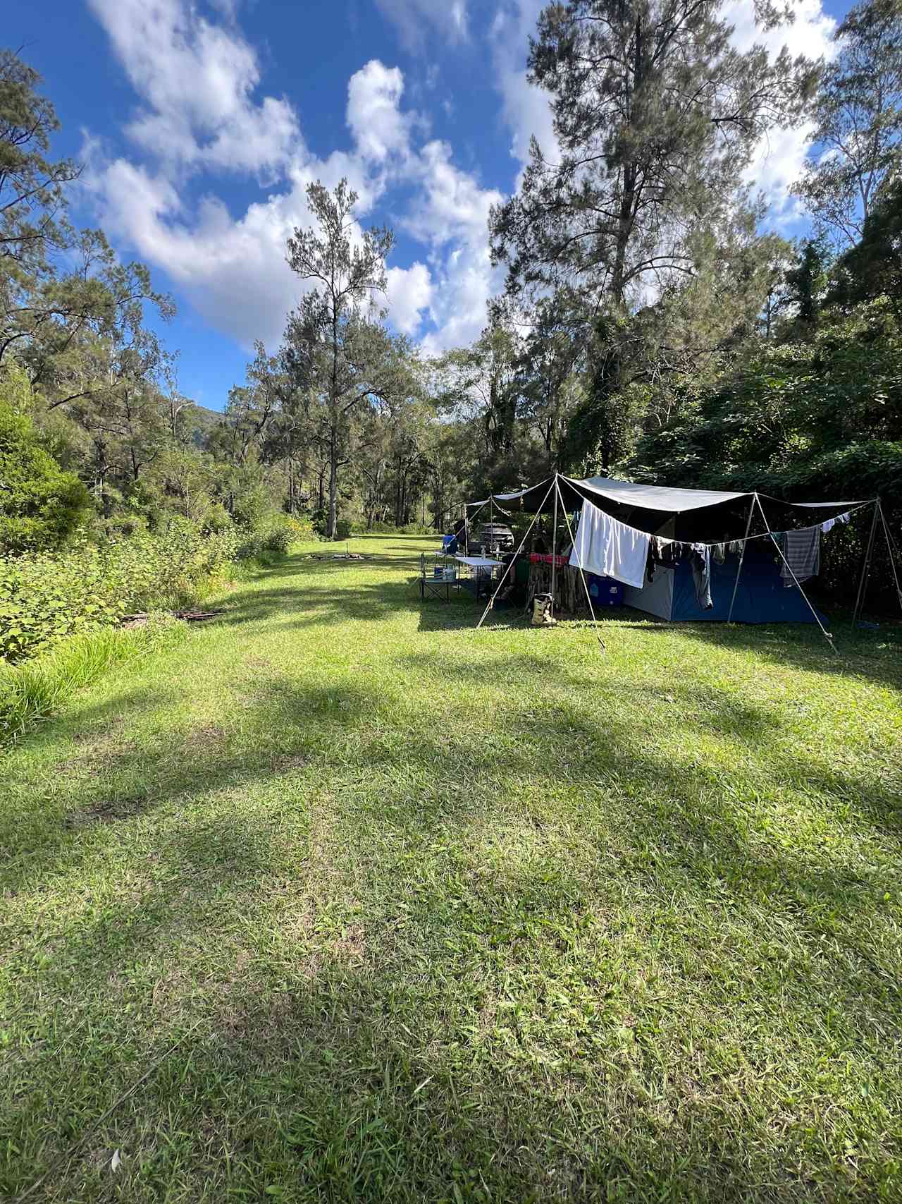 Bellbird Lodge