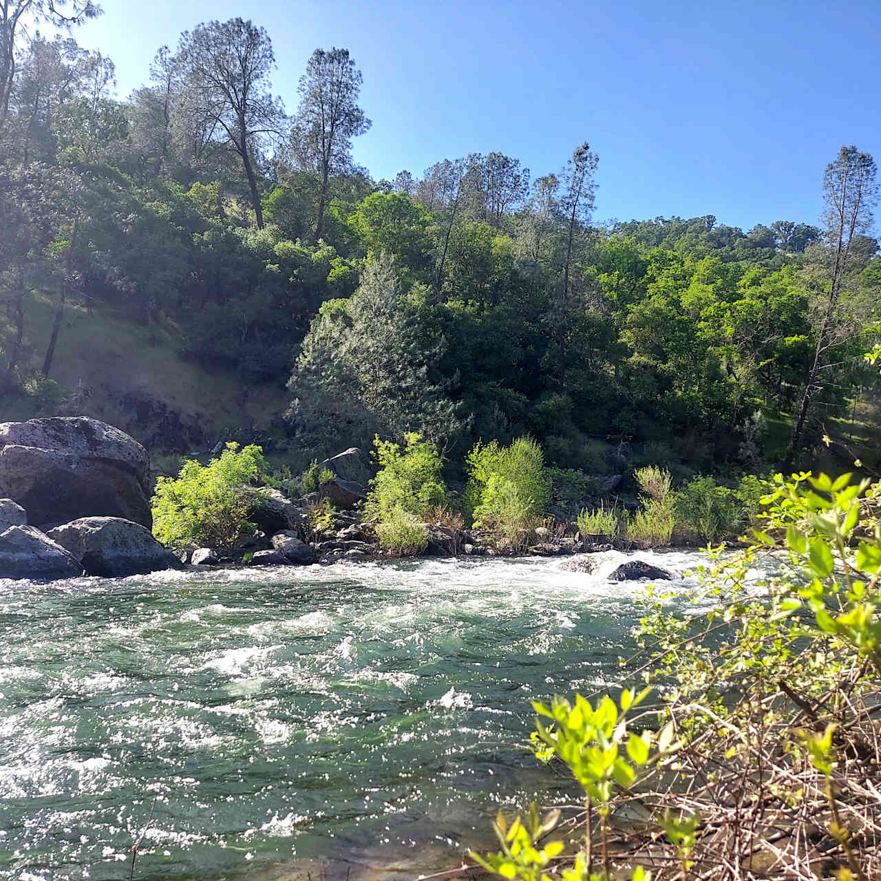 Cosumnes River Ranch