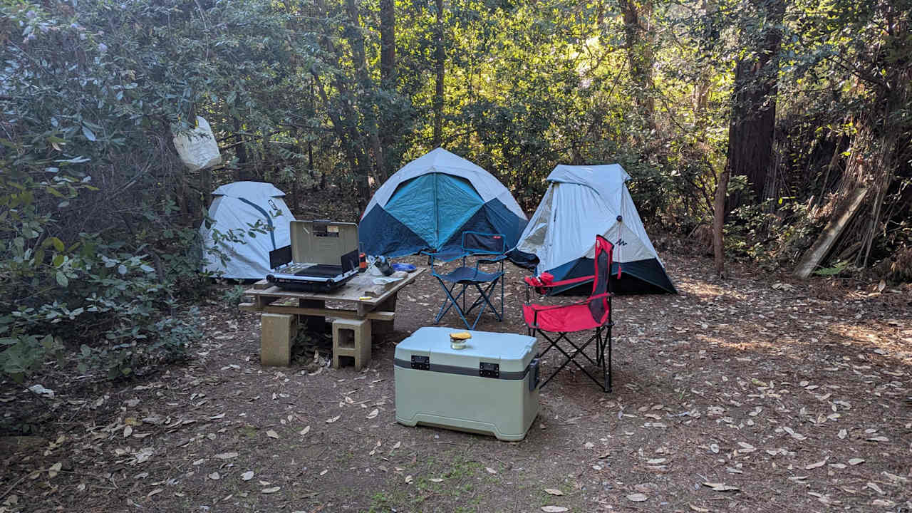 Redwood Paradise Camping