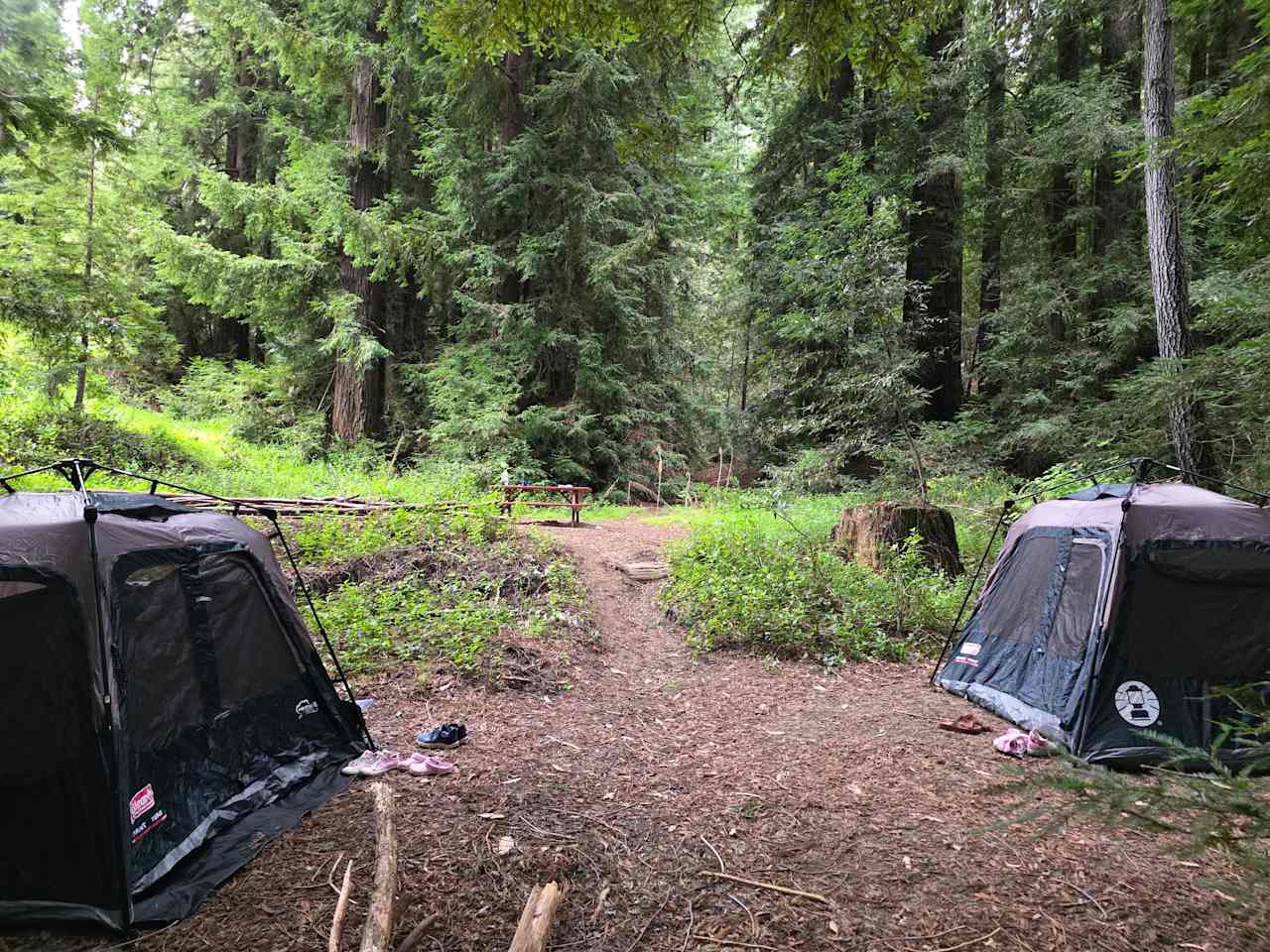 Amaya Creek Redwood Campground