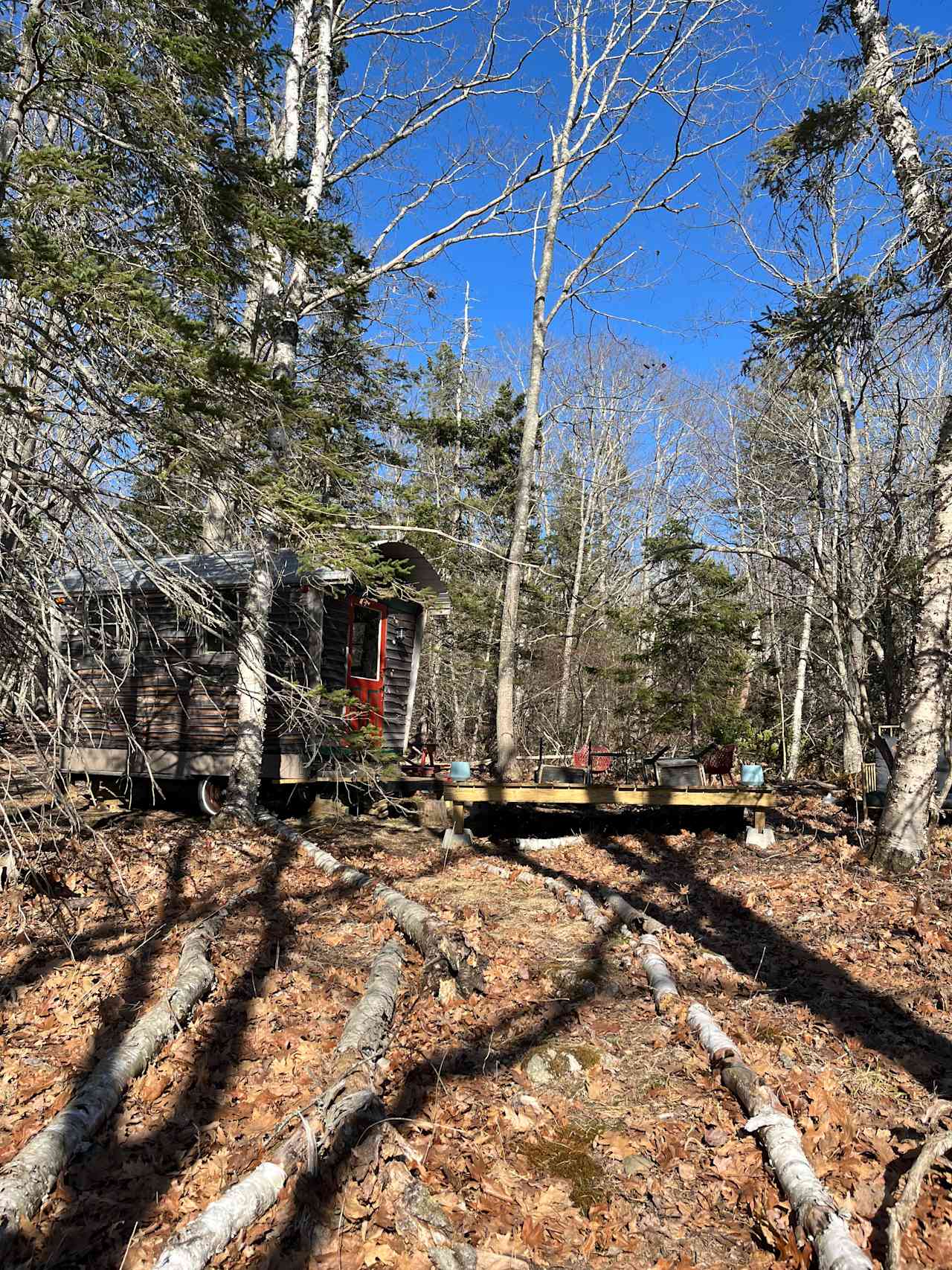 View of the Cabin 