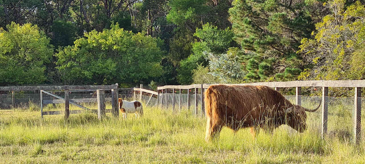 Wedderburn Hideaway