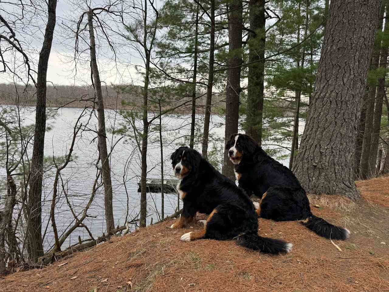 Trapper Arts Camping Retreat