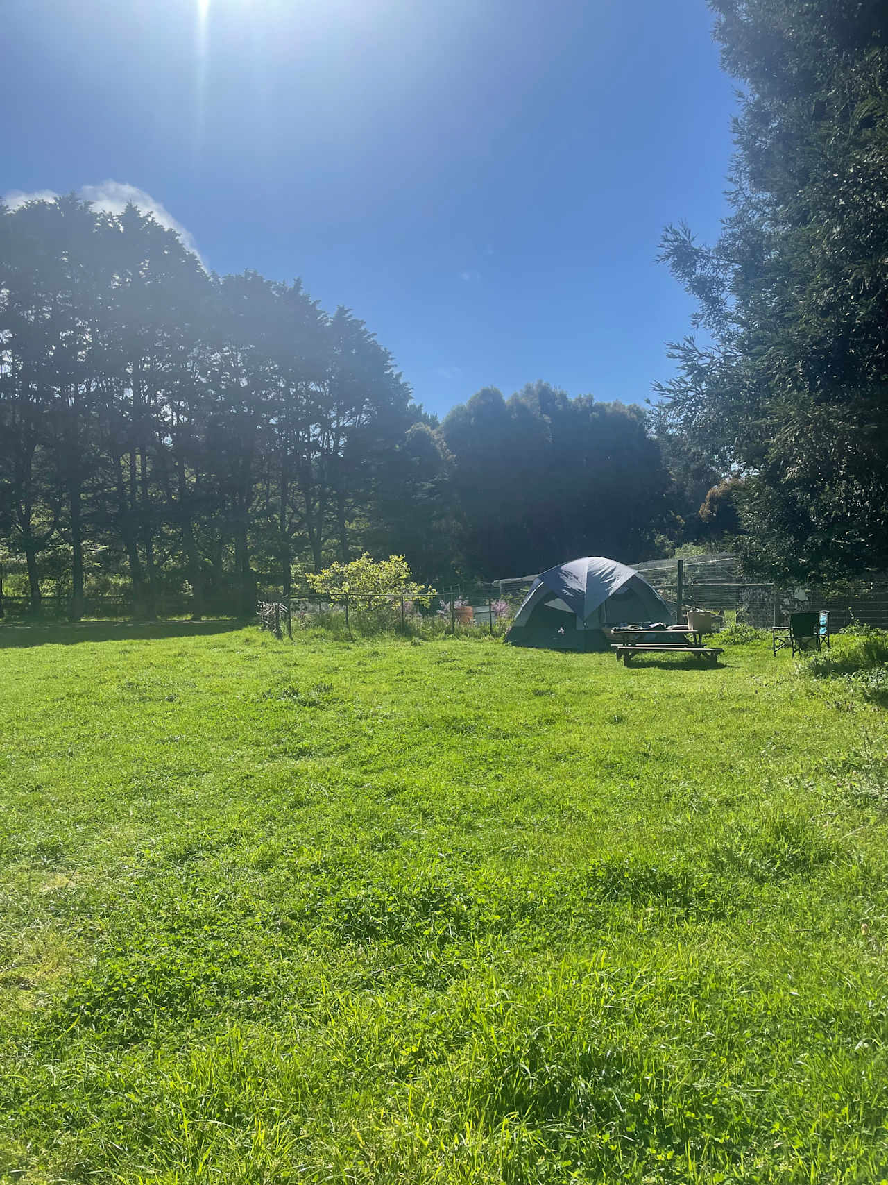 Blackberry Farm