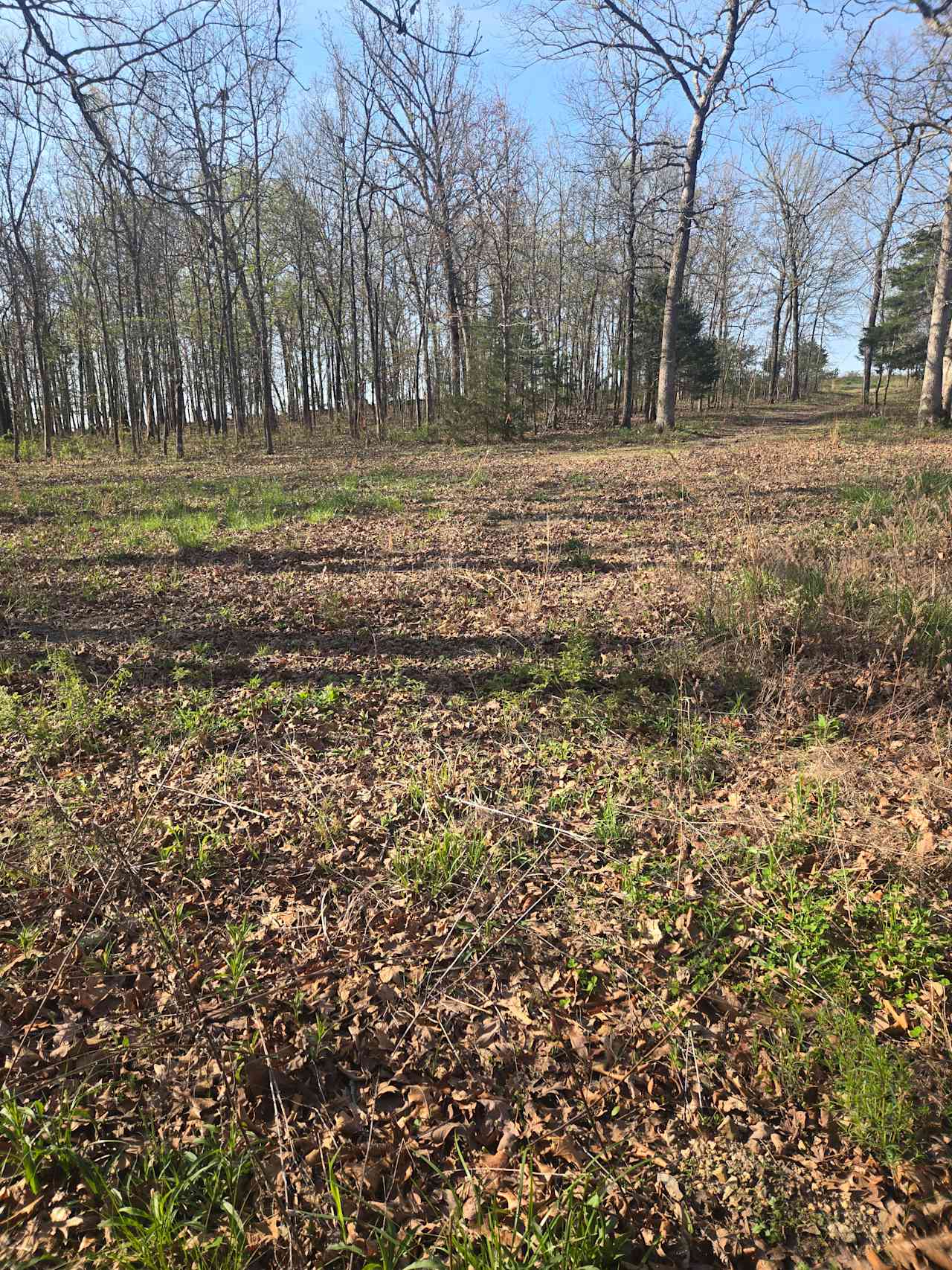 Where the Forest Meets the Field –