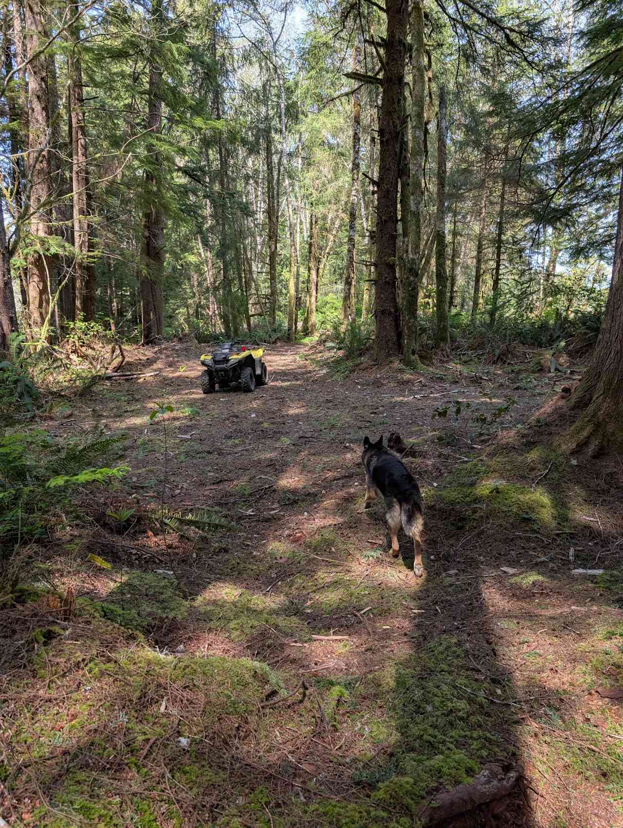 Humptulips Valley River Camp