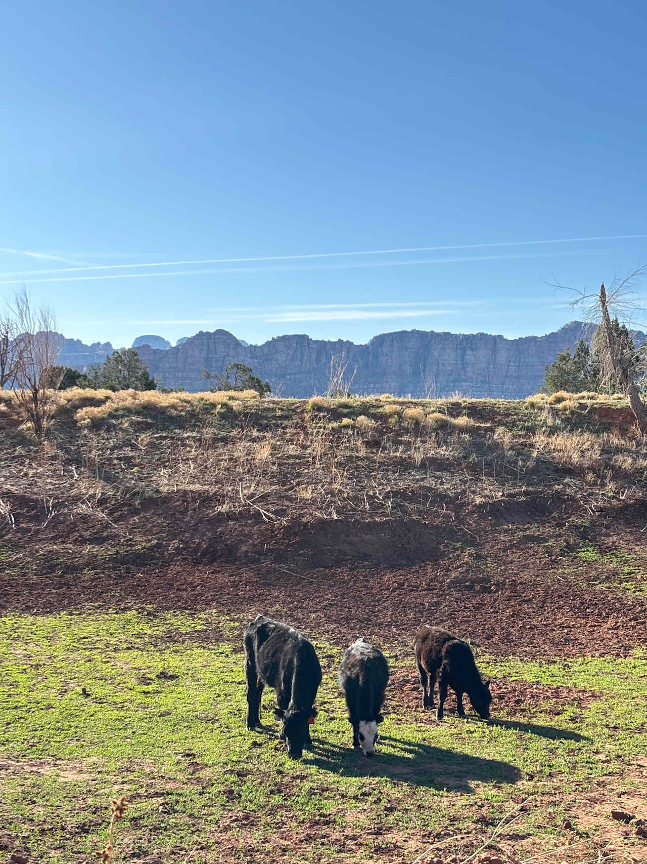 Zion Wright Ranch Eco-Camp