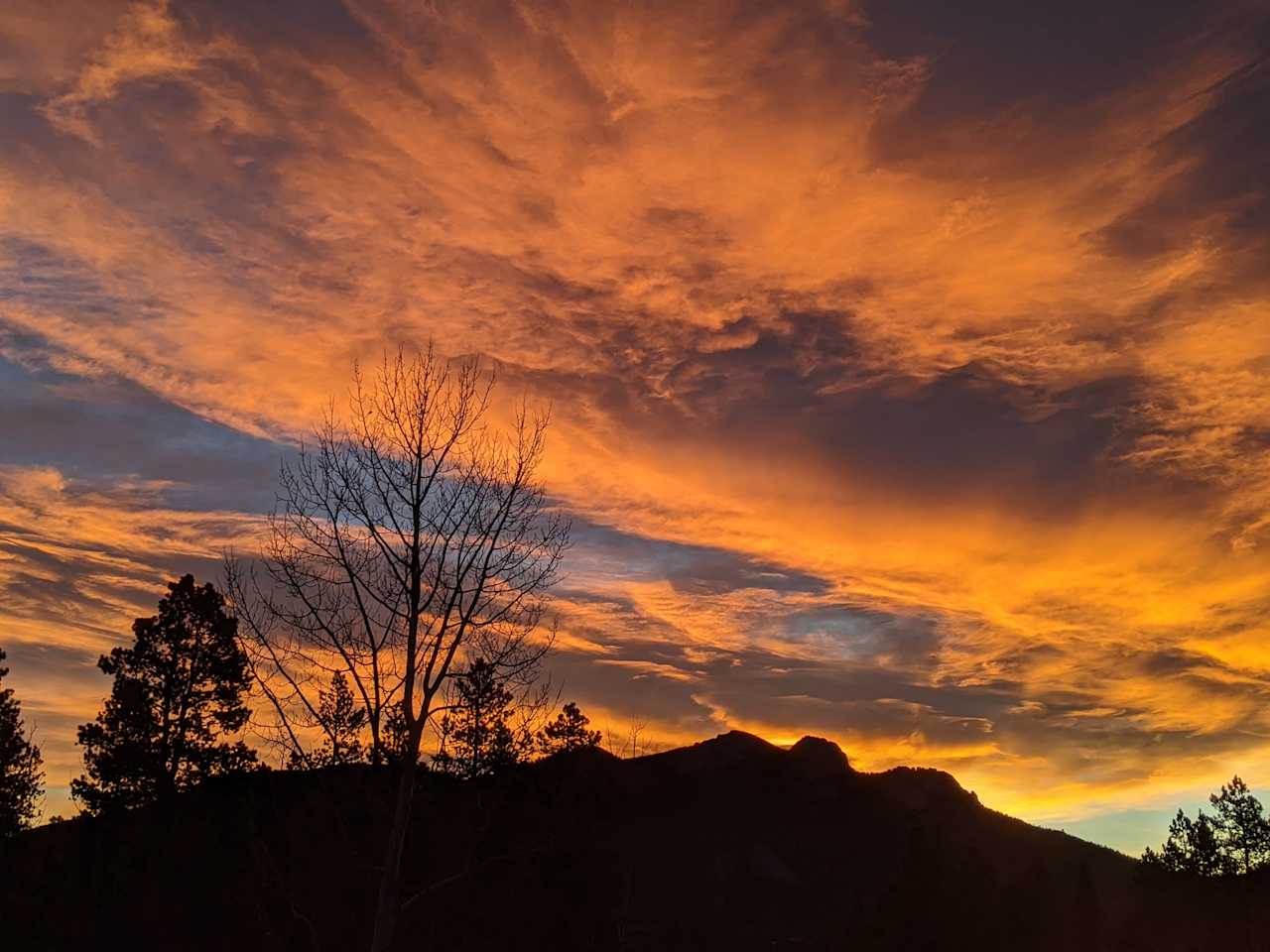 View from the top of the driveway