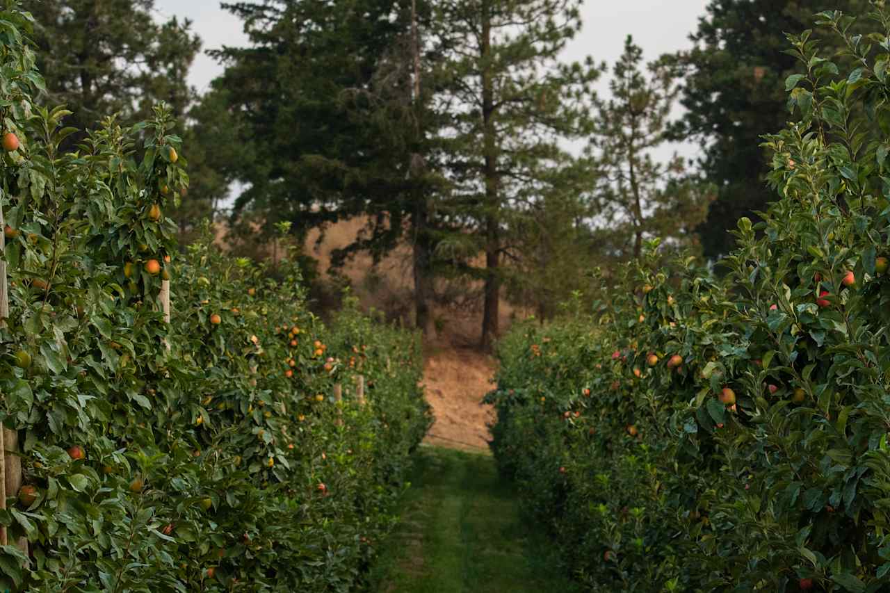 Farm Stays At Chelan Ranch