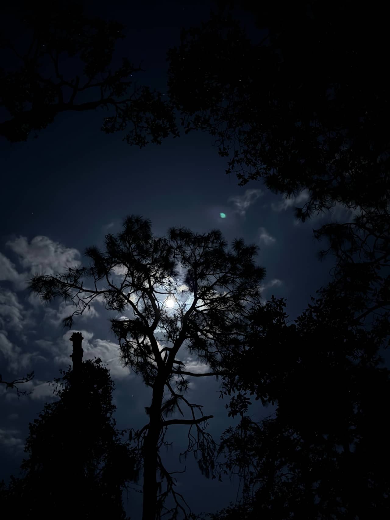 Full moon vibes from our site!