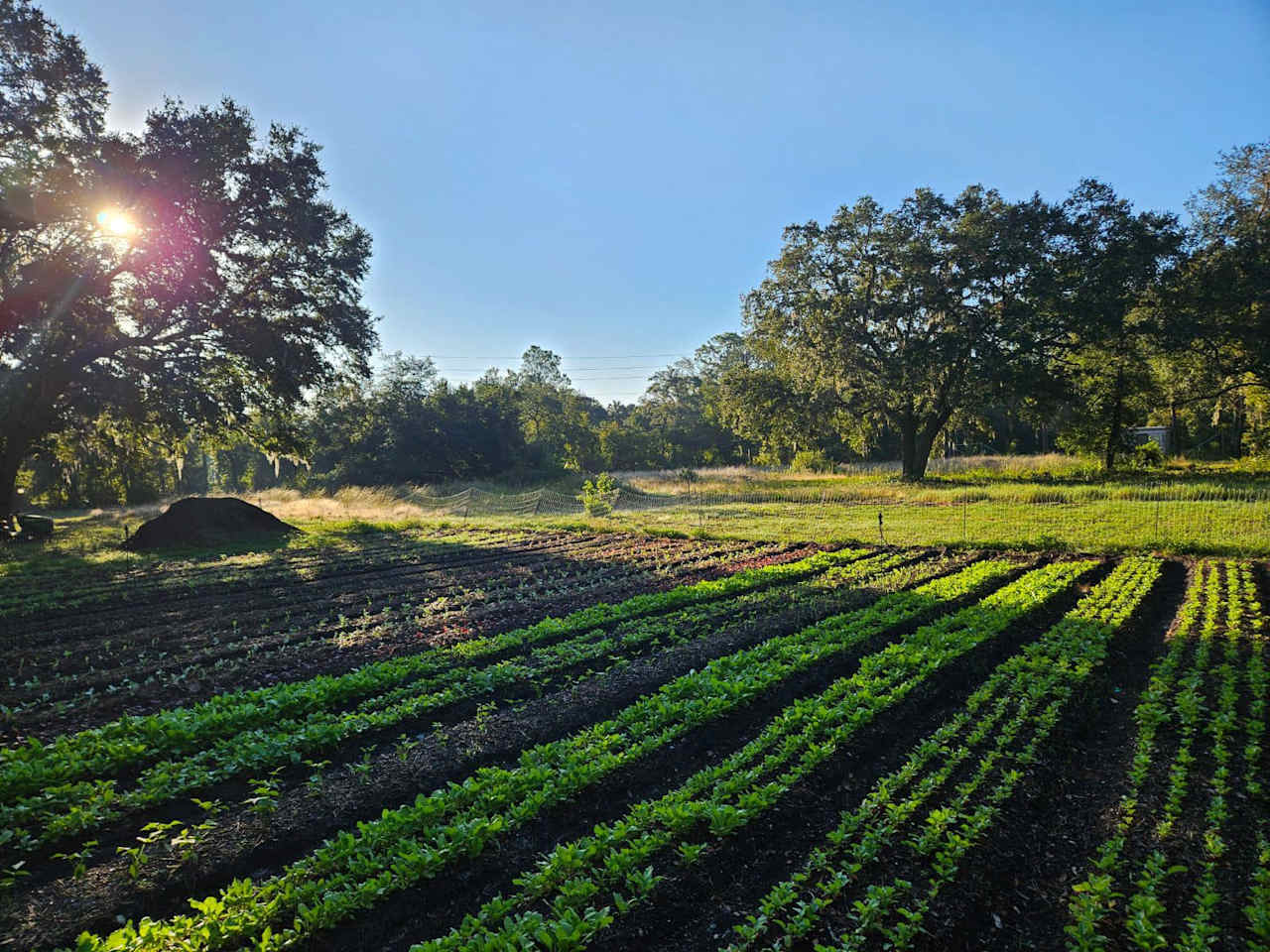 Oceanside Organics Farm