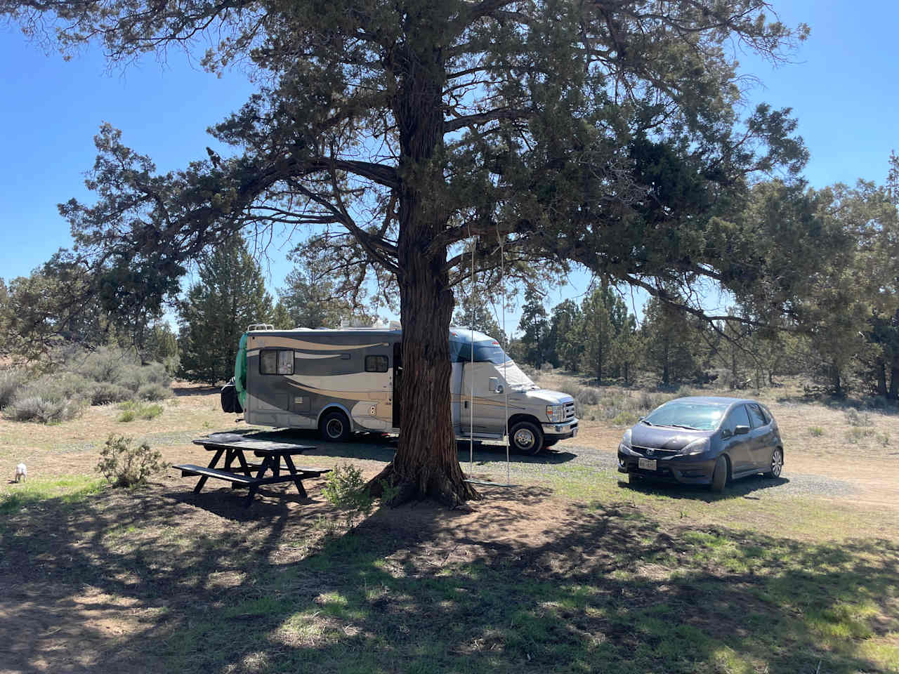 Picknik Place
