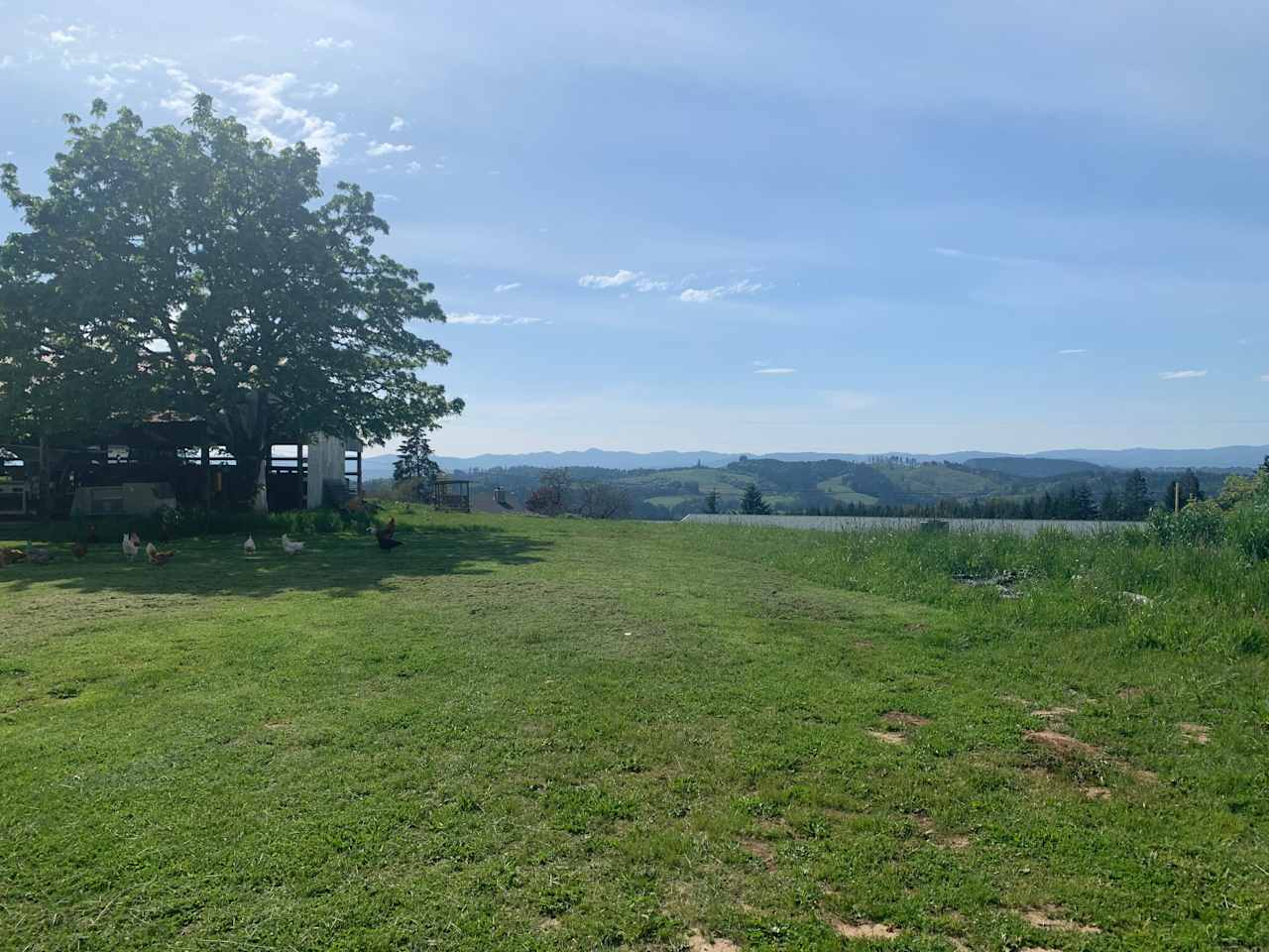 Vineyard Glamping Bliss