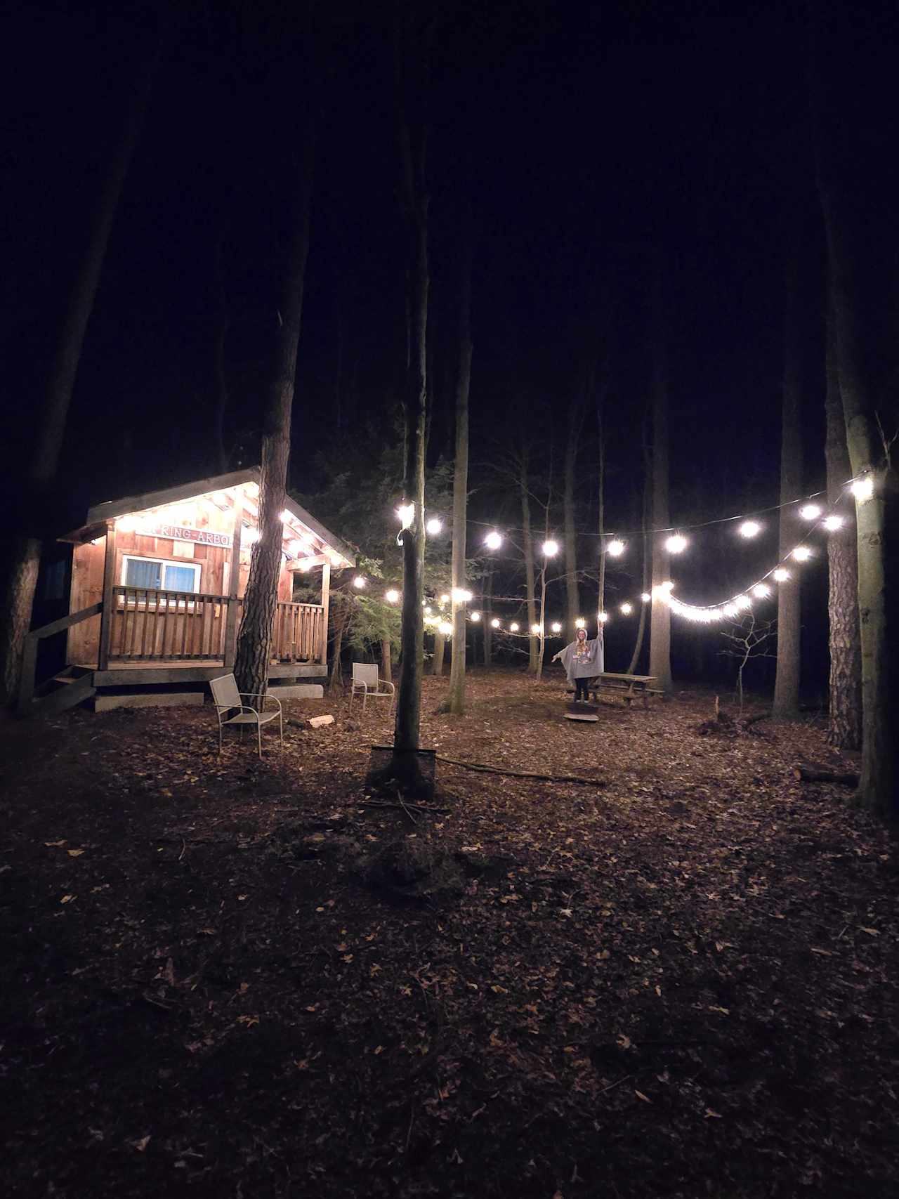 Spring Arbour Magic Forest &Trails!