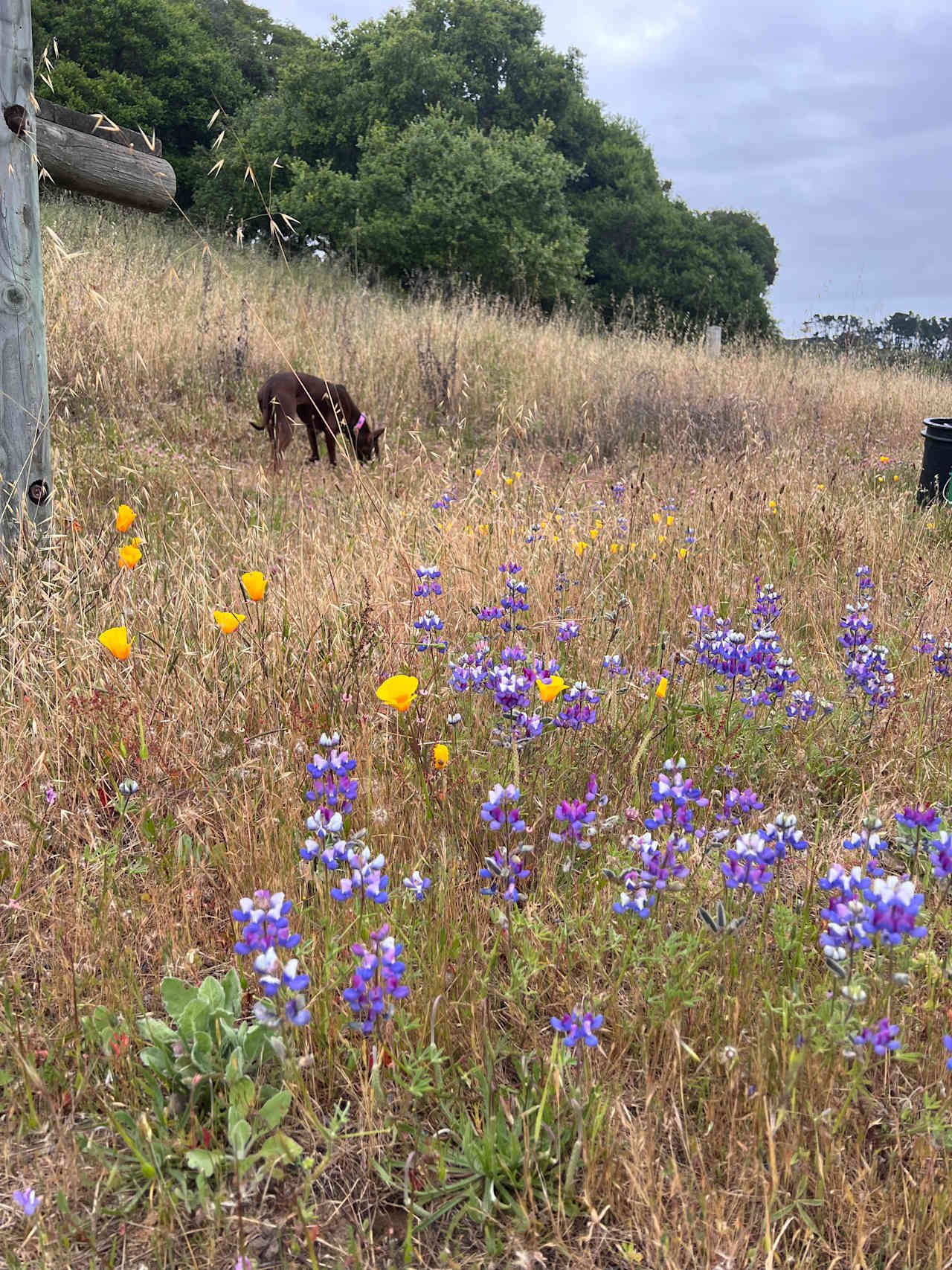 Elkhorn Slough Camping