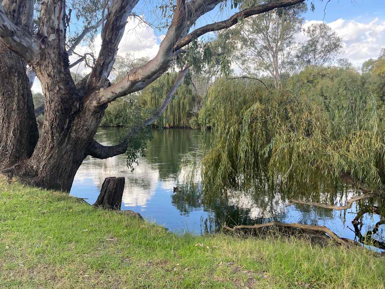 Willowbank on the Murray