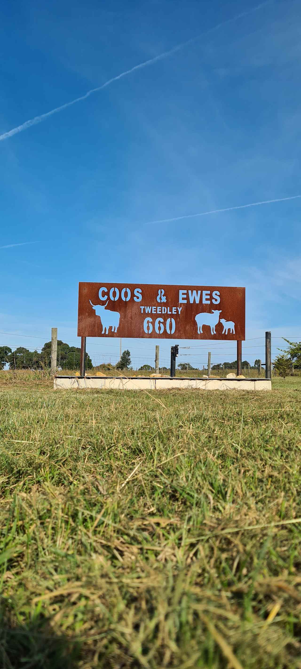 Coos & Ewes