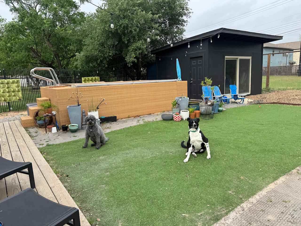 Enjoying the yard