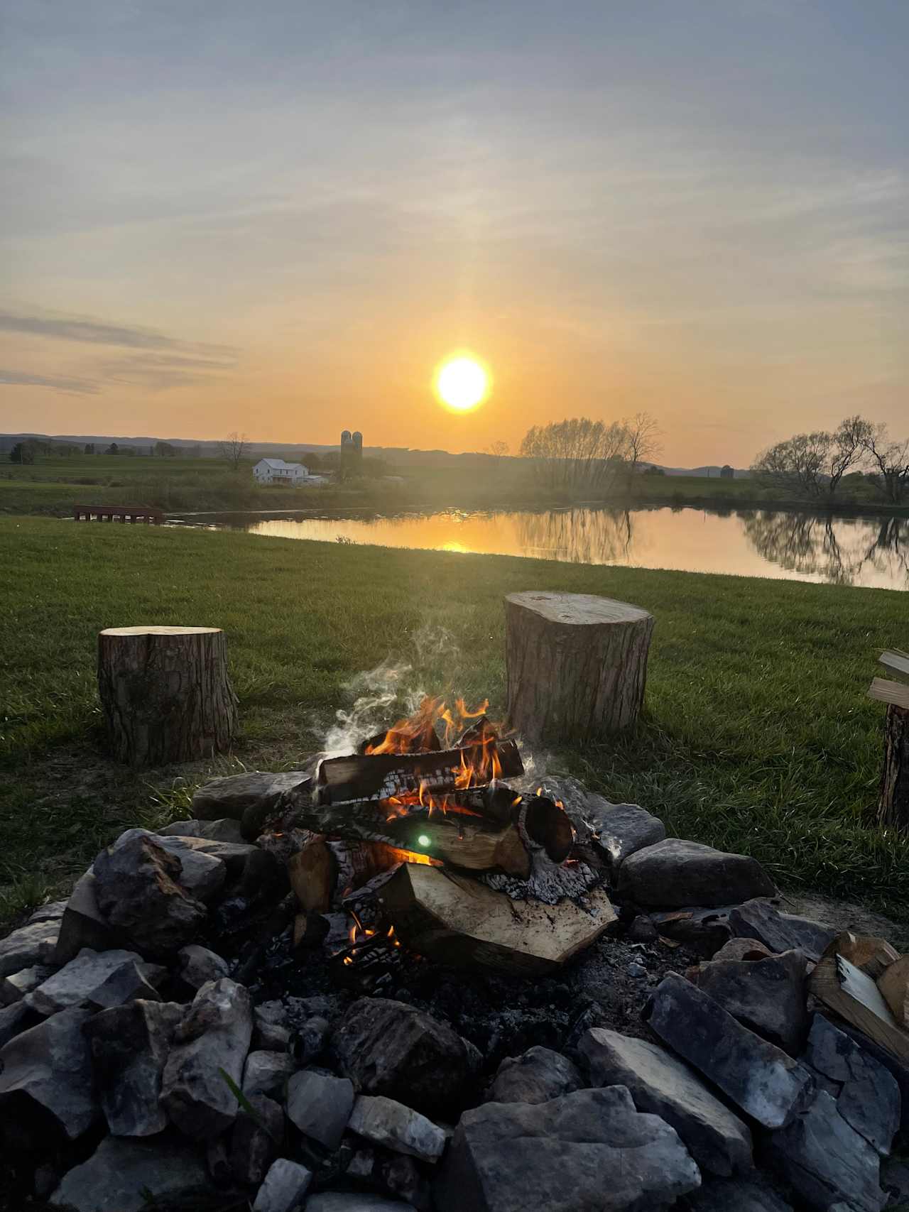Paradise By The Pond