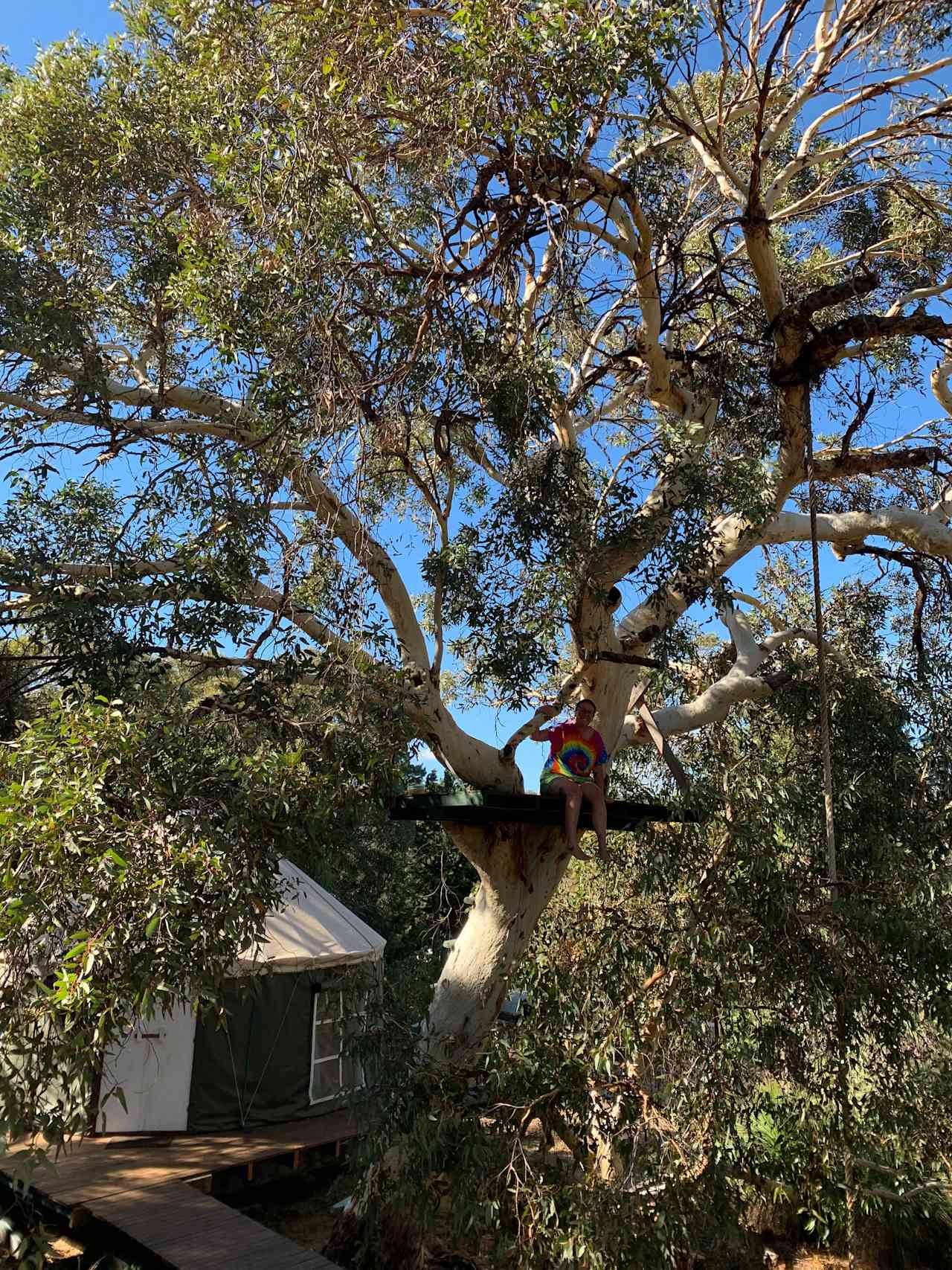 Yurt Abundance in Perth Hills