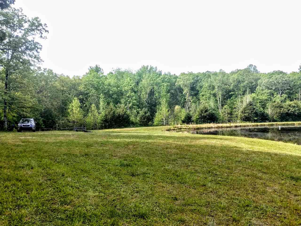 Private meadow and pond