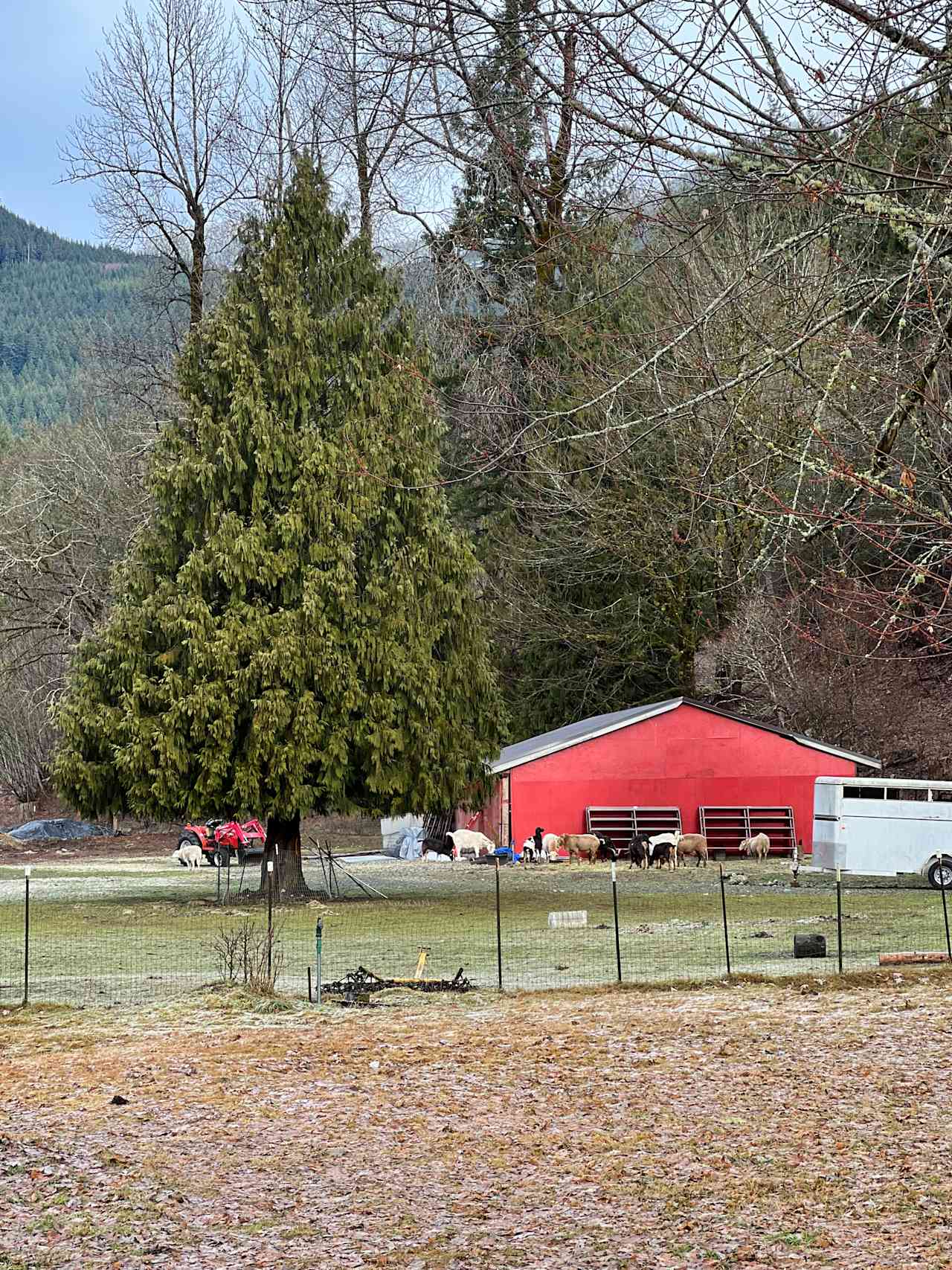 Ruby's Run Farm & Forest