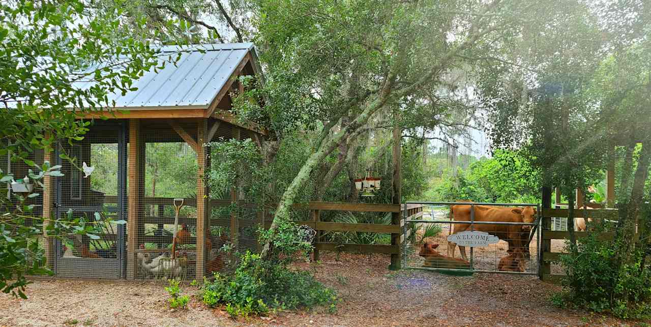 Southern Dirt Farm and Garden