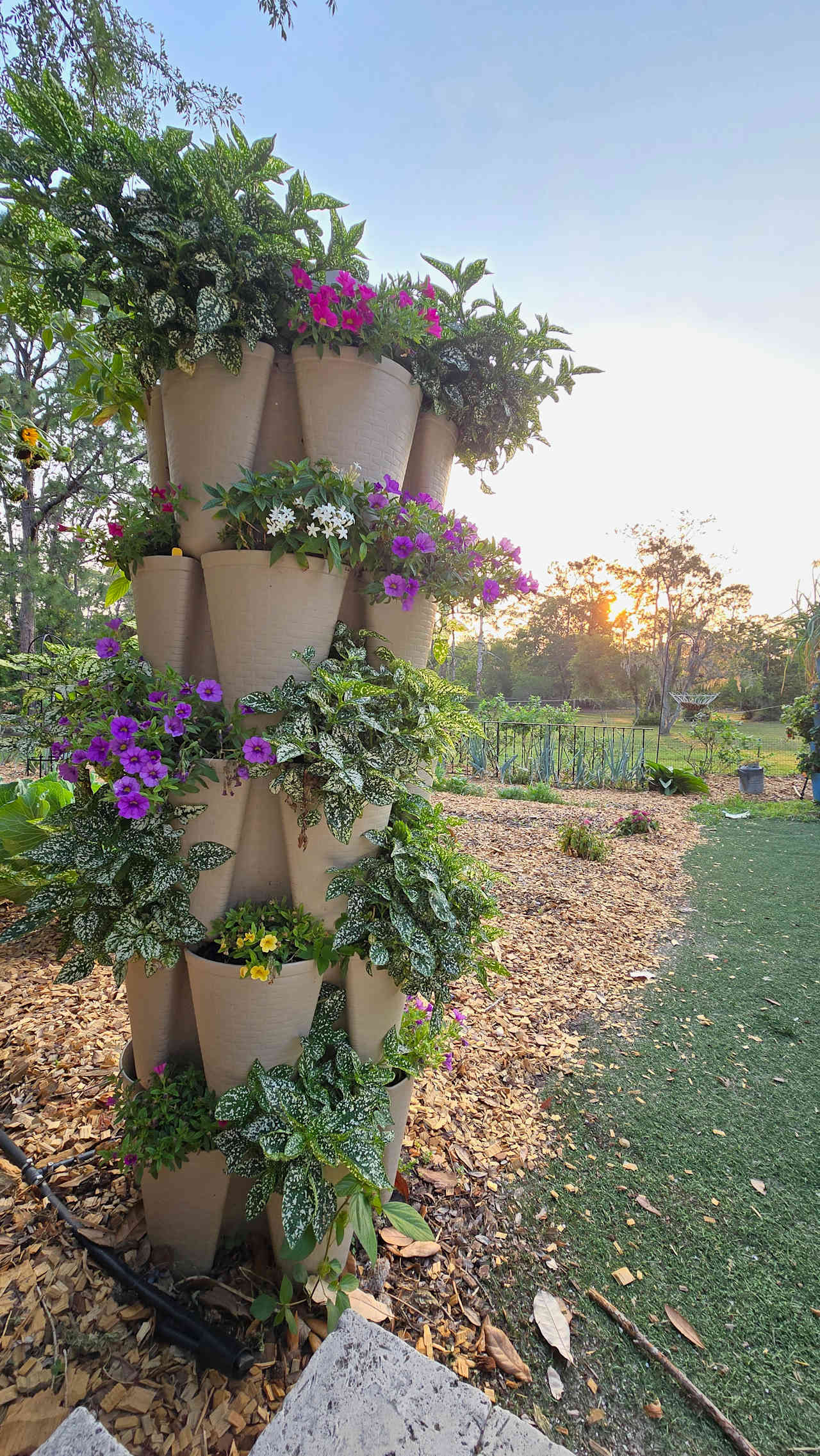 Southern Dirt Farm and Garden