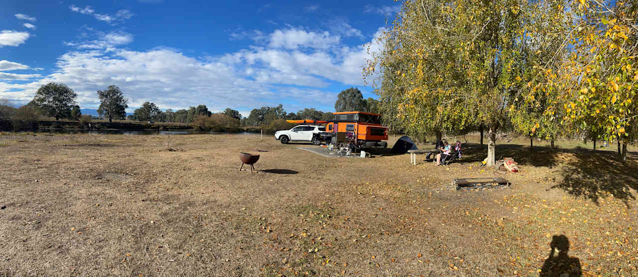 Poplar trees facing camp to the water 