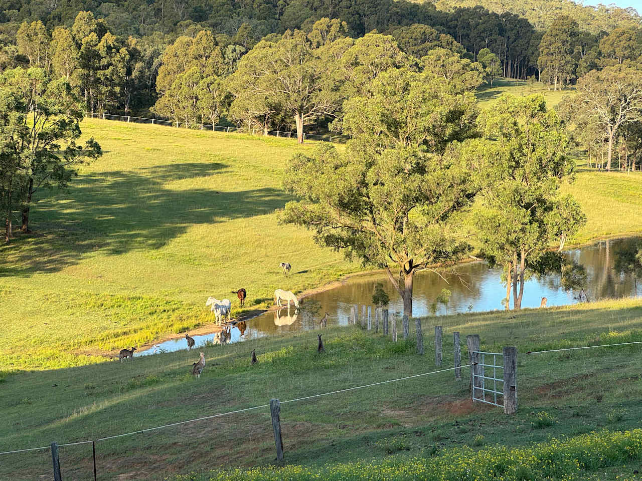Hunter Valley Hill Top Lovedale