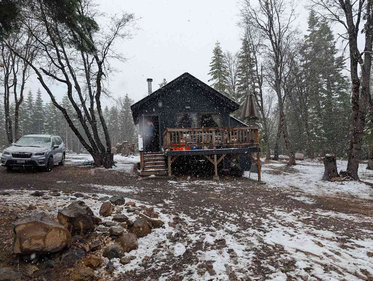 Lazy Bear Cabin