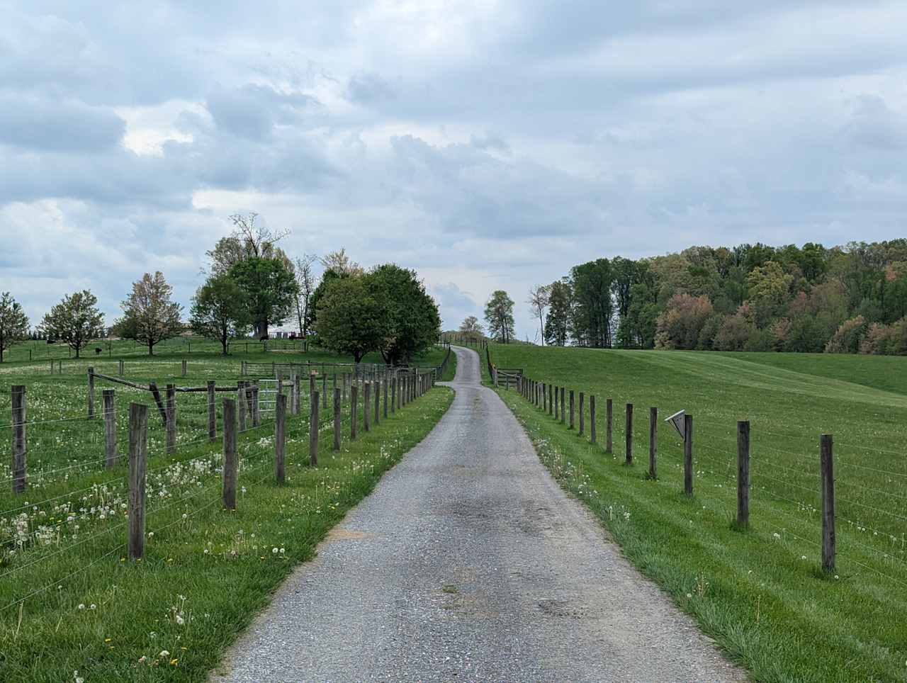Willows Farm