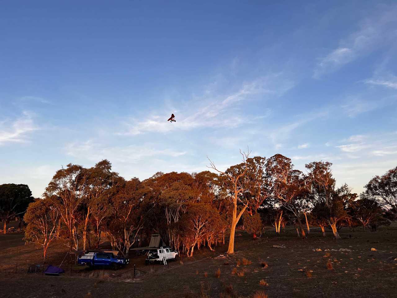 Coots Creek Campground