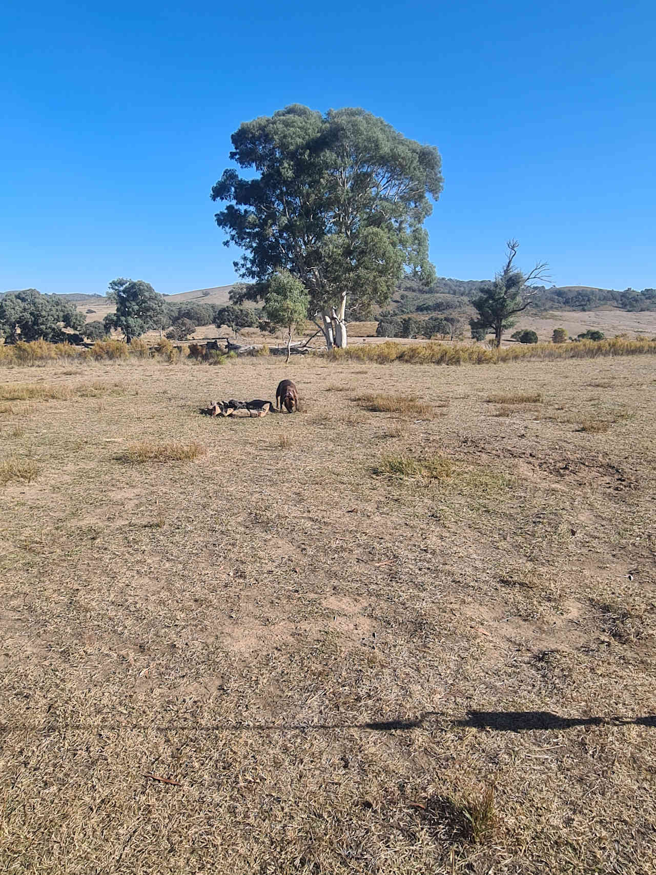 Redlands Camping