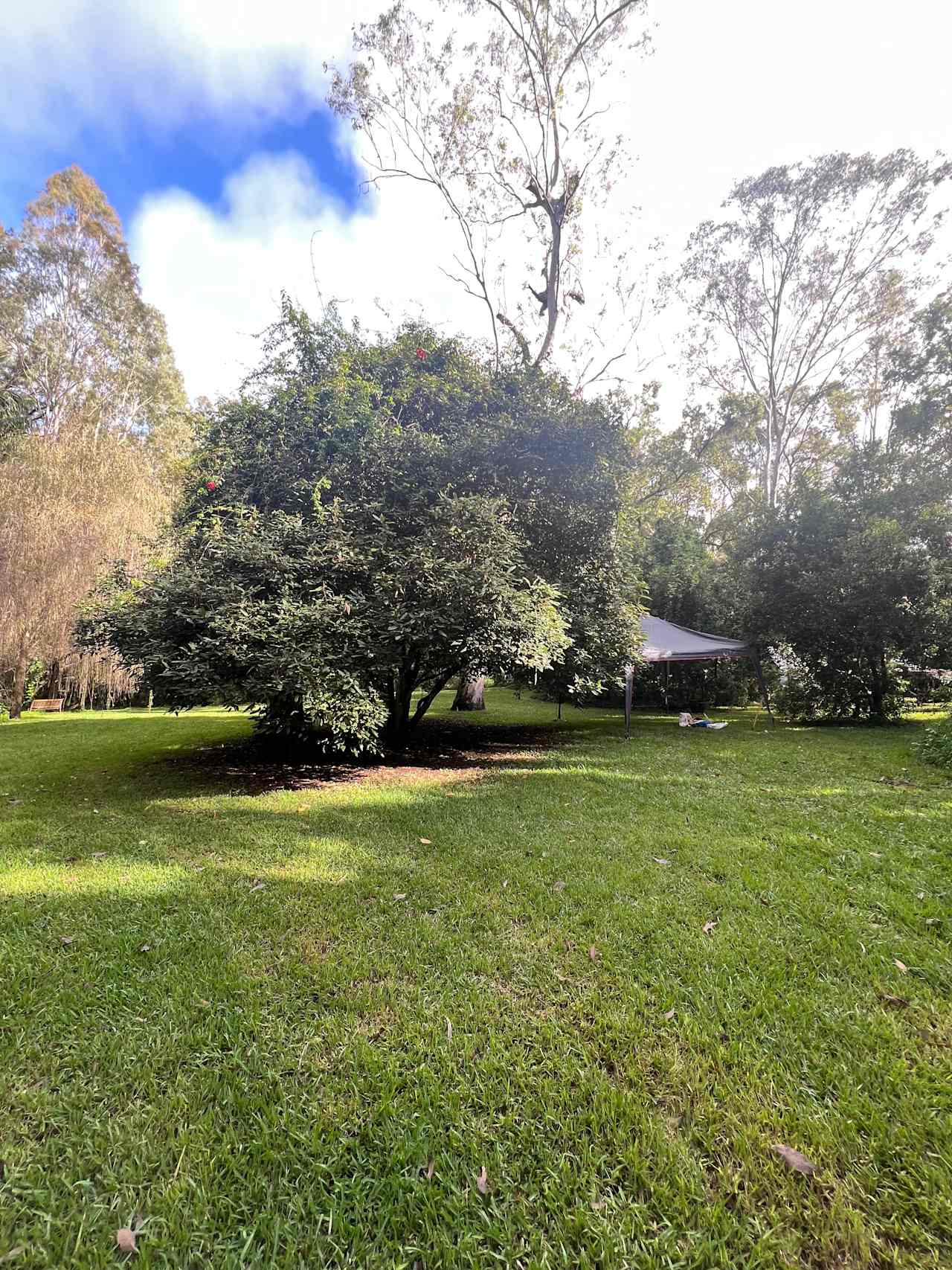 Split Yard Creek