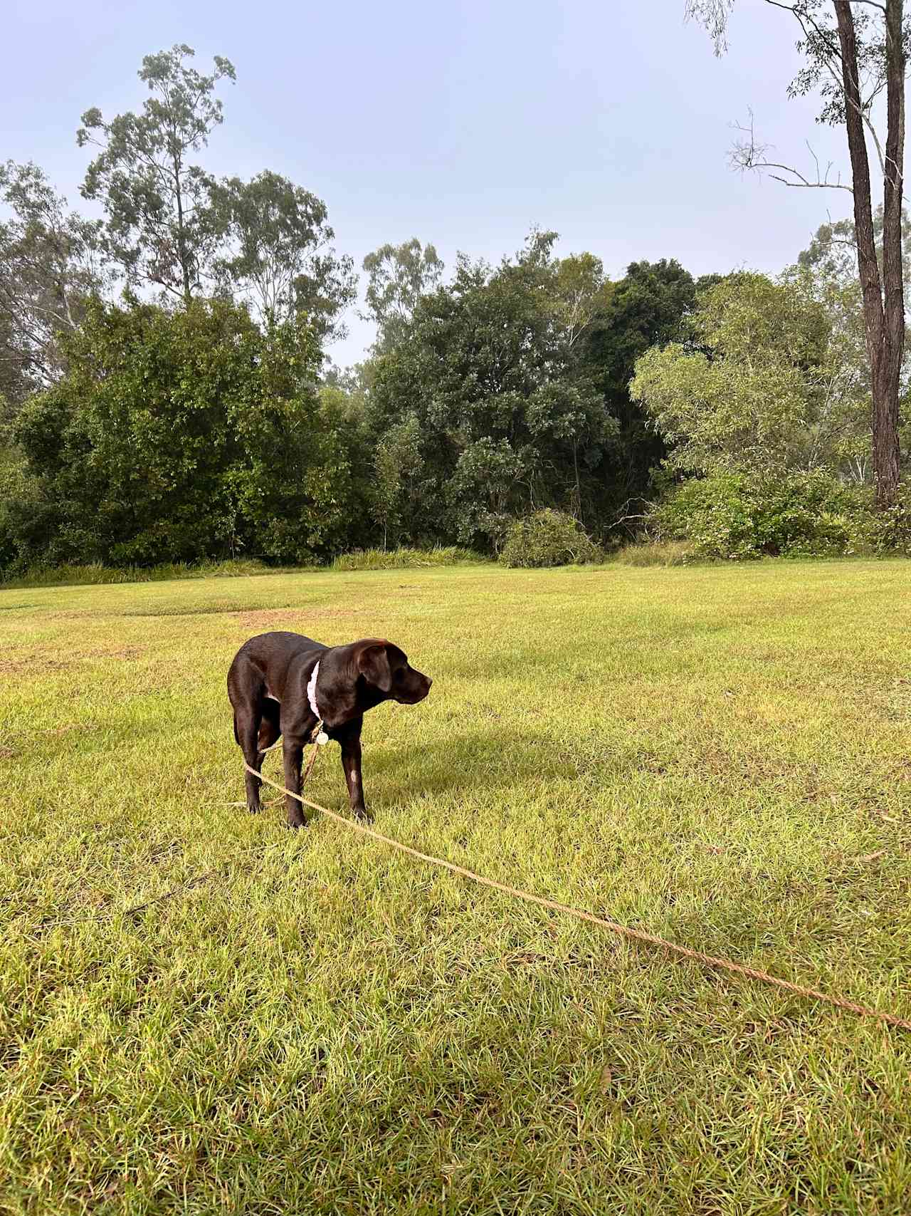 Gootchie Creek Escape