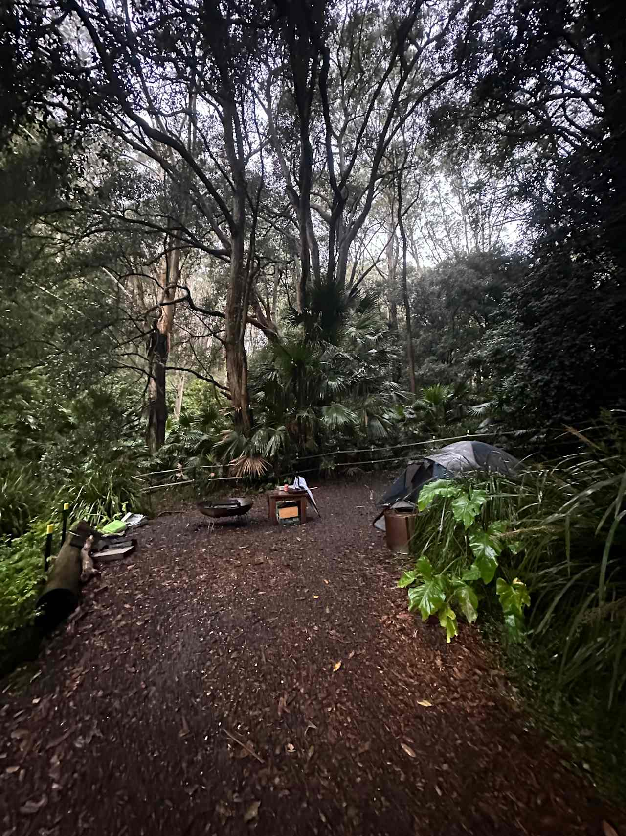 Otford Park nr Royal National Park