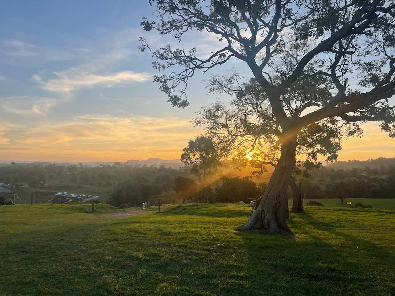 Sapphire Coast Dairy-Homestead