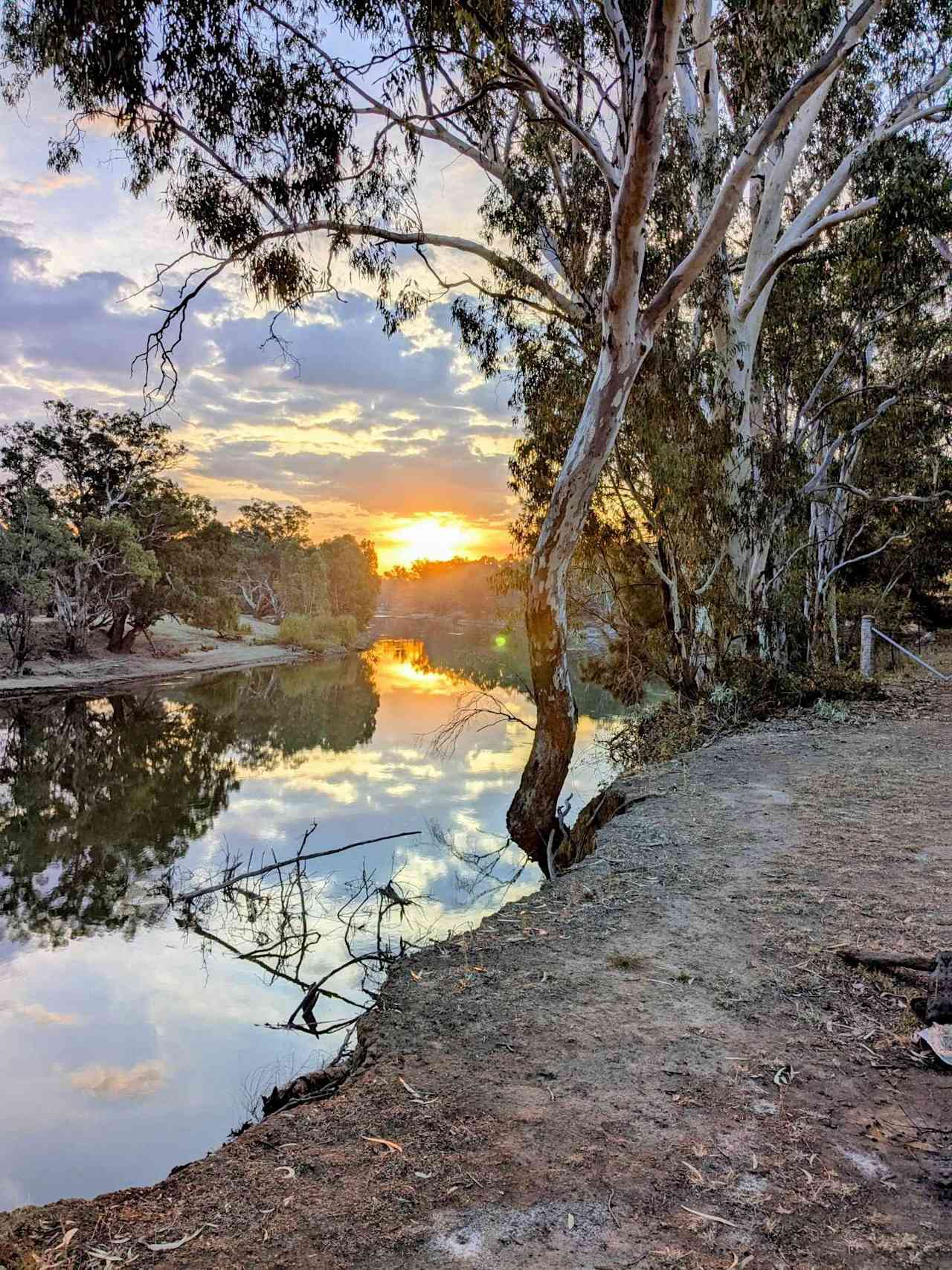 Palm Cove On The Murrumbidgee