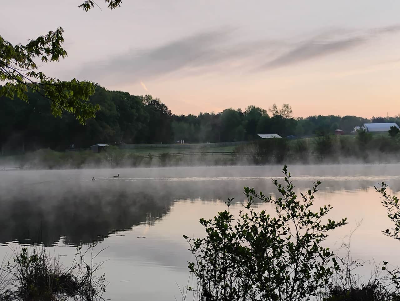 Sunrise by the Pond