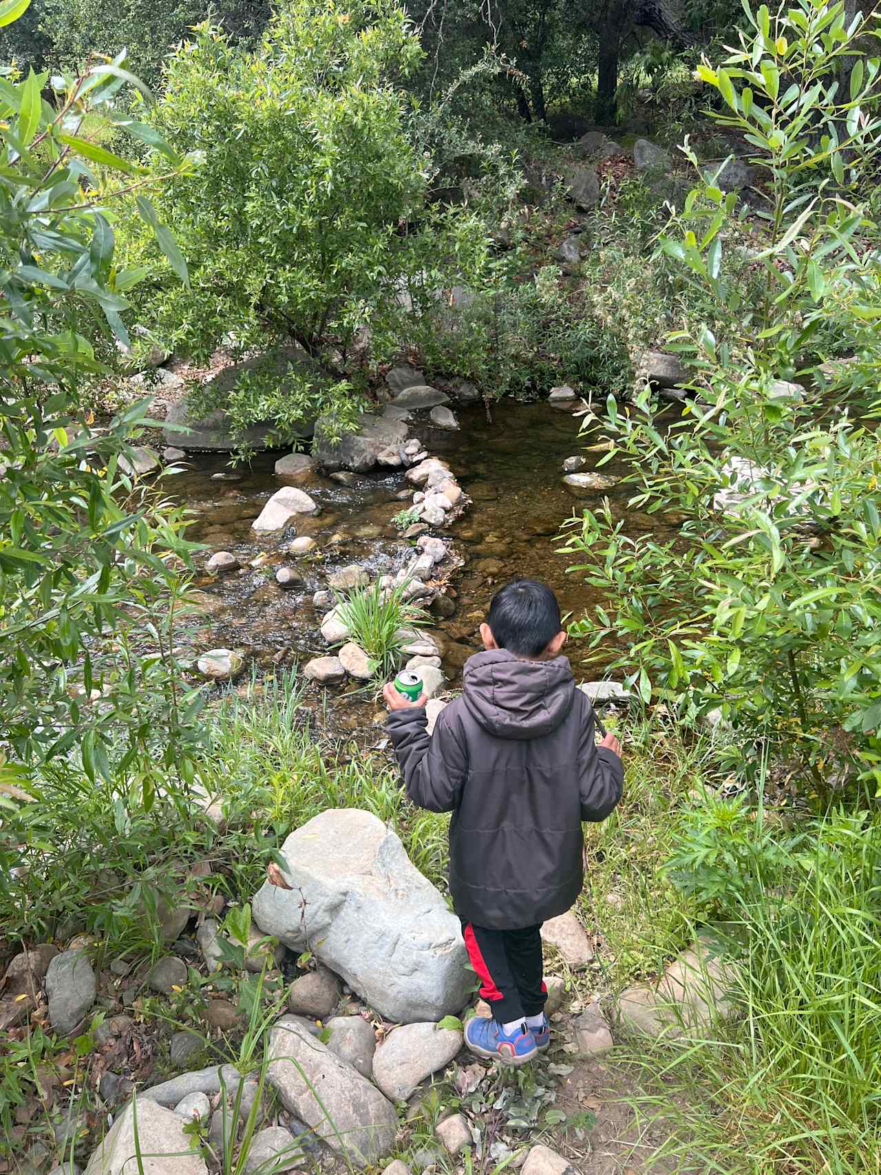 Camp RainDale