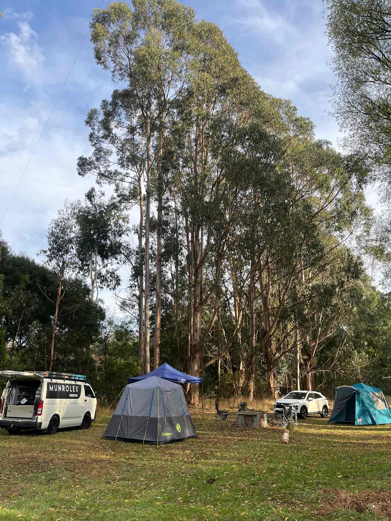 Dairy Countryside Camp